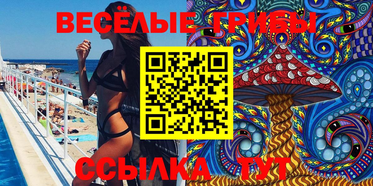 Псилоцибиновые грибы Cubensis Подольск
