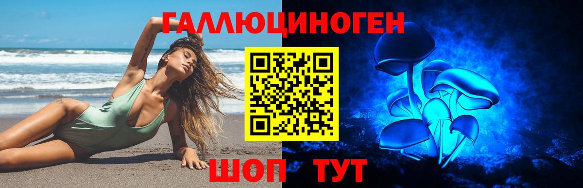 Подольск  Галлюциногенные грибы Magic Shrooms  Псилоцибиновые грибы Cubensis  где продают   Вход с VPN 